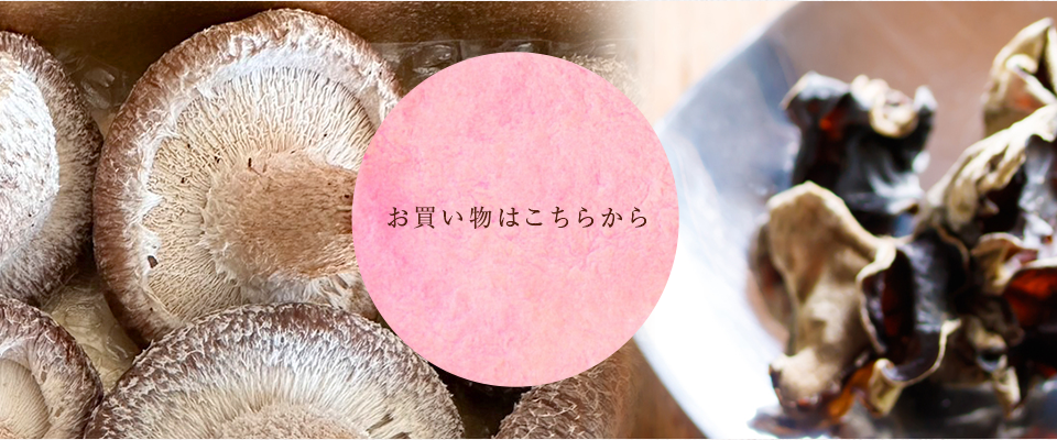 sp_tsukutsuku_banner_02